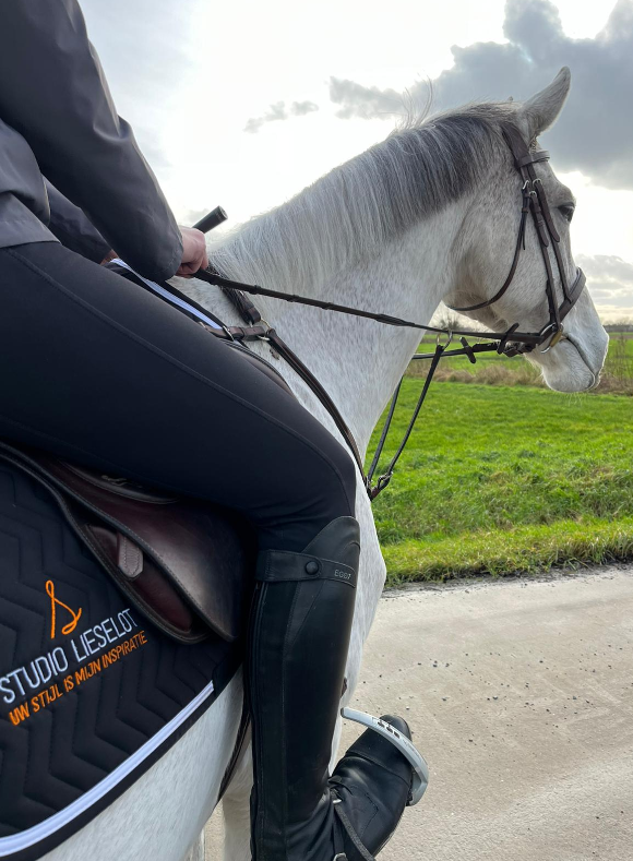 borduren logo zadeldoek